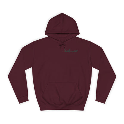 Unisex iDeliver Streetwear, College Hoodie - iDeliver, Cozy College Apparel, Student Gift Idea, Casual Streetwear, Perfect for Study Sessions